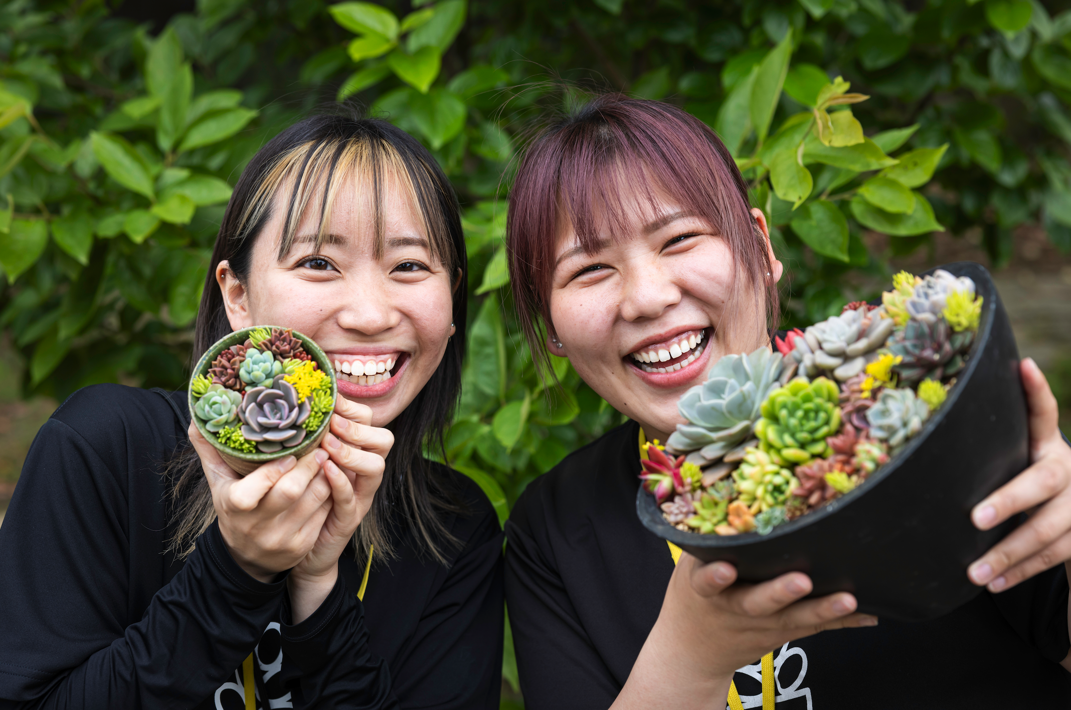 多肉植物と支援員